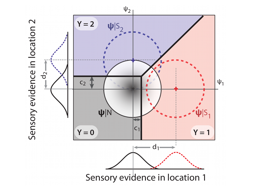 Theoretical psychophysics